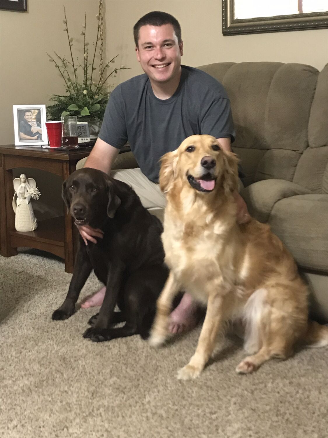 The dogs